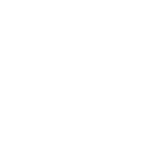 doublecoin